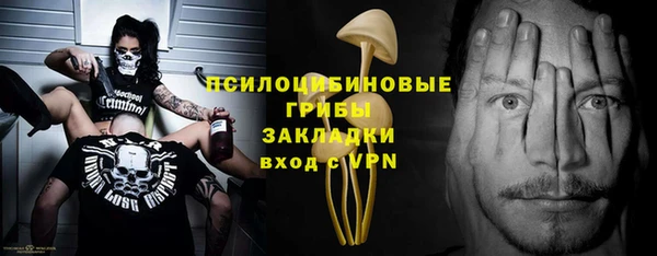 прущий лед Кодинск