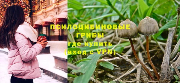 бутират Козельск