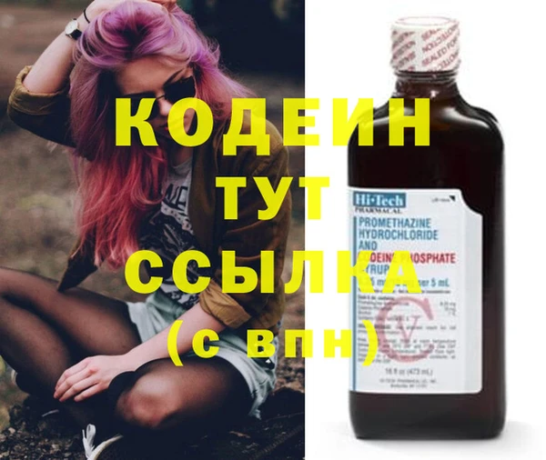 прущий лед Кодинск